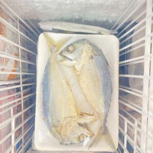 Thailand Patu fish πΉπ