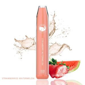 Fzie Candy Bar (Strawberry Watermelon)