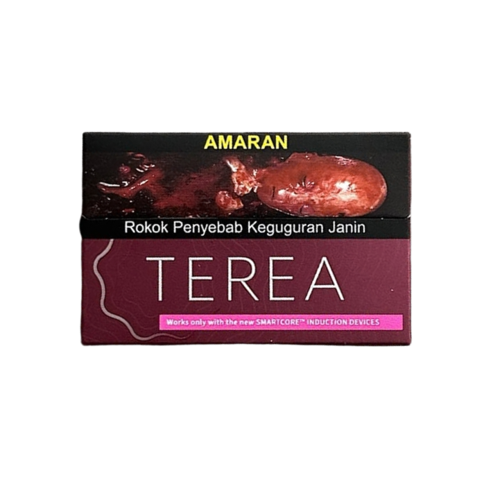 Terea - Image 5