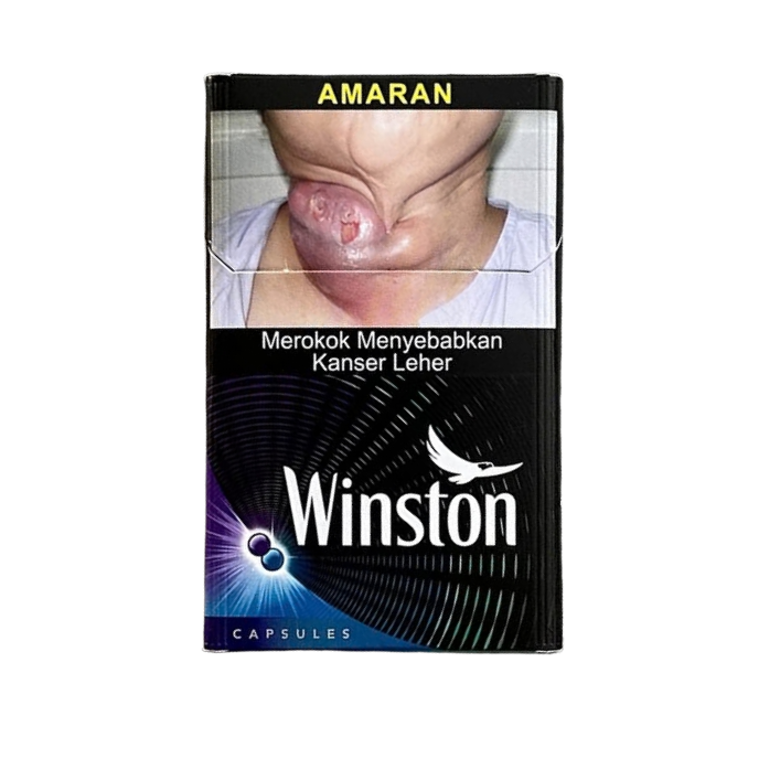 Winston - Image 3