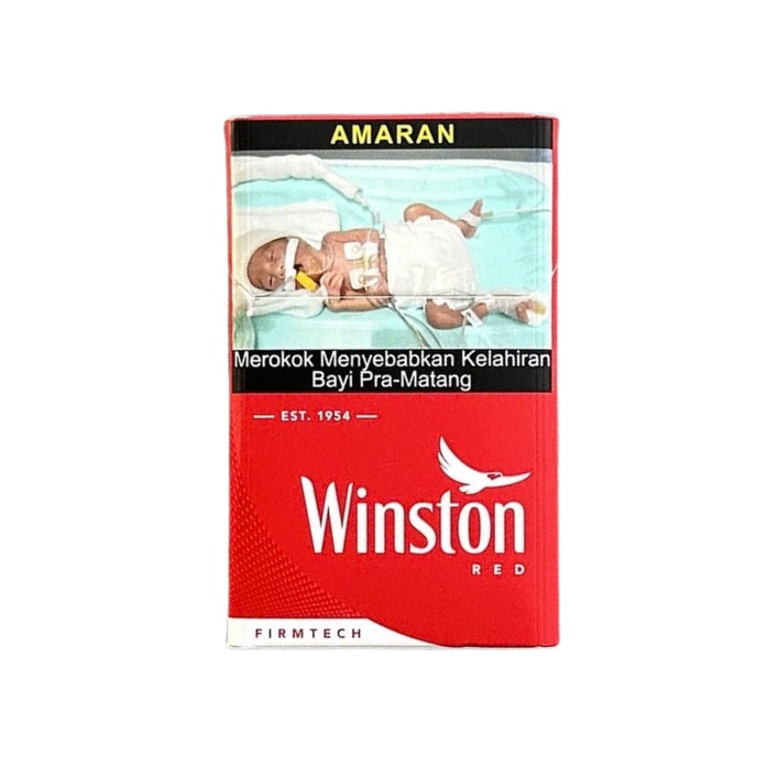 Winston - Image 4